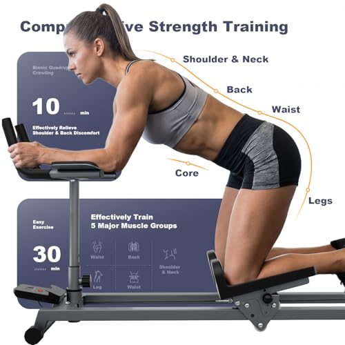 Image of Bear Crawling Machine Workout for Core Training