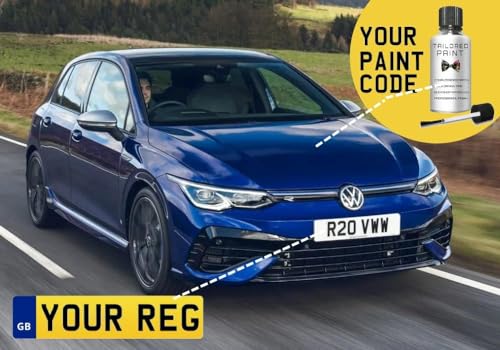 Mixed by Reg Registration Plate Car Touch Up Paint Kit All In 1 Formula Perfect Colour Match Car Paint Check With Finishing Compound