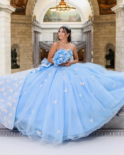 Modern Ball Gown Quinceanera Prom Formal Dresses Cocktail Homecoming Charro XV with Pink Butterfly3