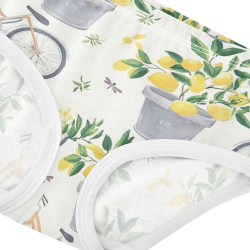 Wusikd Gray Bicycles Girls' Underwear Cotton Lemon Trees Girls Briefs Soft Toddler Underwear 2T4