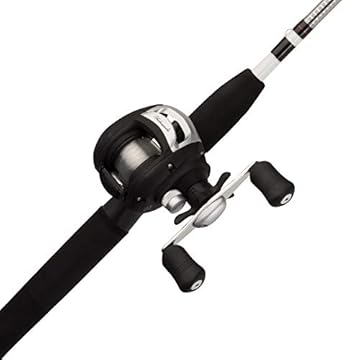 best fishing rod for baitcasting reel