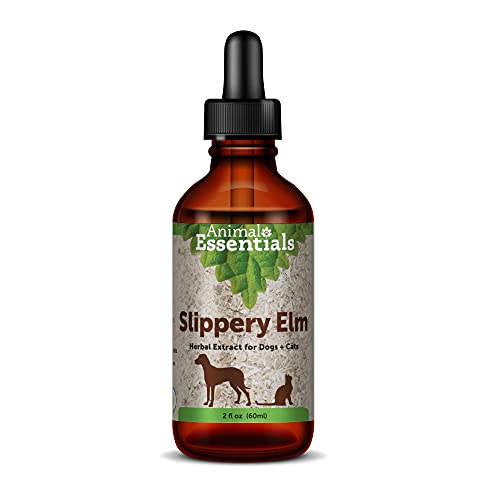 Animal Essentials Slippery Elm - Herbal Extract for Dogs and Cats, Promotes Healthy Digestion, Bowel Function, Certified Organic Herbs, All Natural, Respiratory Health, Liquid Formula - 2 Fl Oz