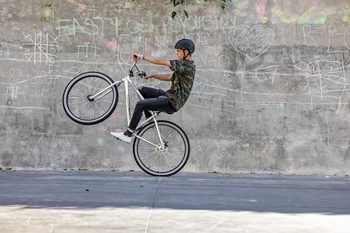 Mongoose Hooligan AL Adult, Fat Tire BMX Bike, Lightweight