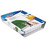 Trixie Bandeja Bio Hierba para Gatos, Aprox.100 g