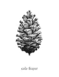  pine (English Edition)