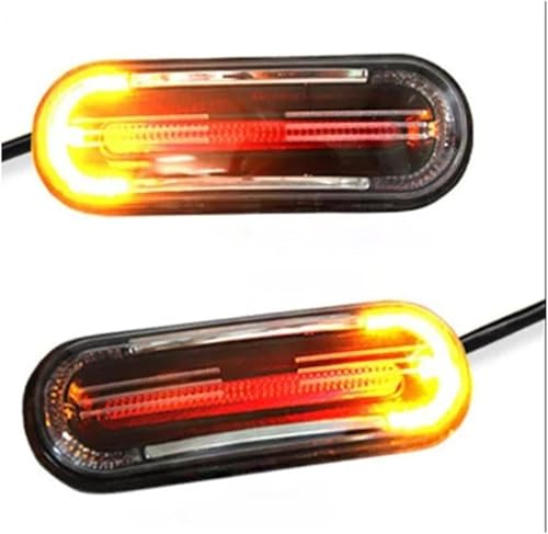 Luz Trasera para Motocicleta y scooter con intermitentes (2 Unidades)