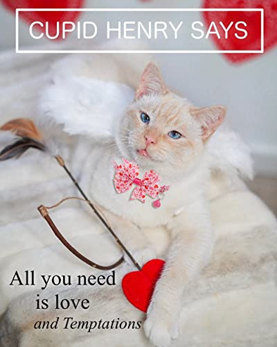 Collar de corbata de gato para San Valentín con pajarita de corazones 7