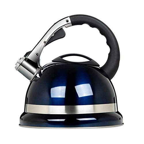 Whistle Kettle-Edelstahl Outdoor Tragbarer Gasherd Induktionsherd Haushalt Whistle Kettle verdickt große Kapazität Craft Pot 3.5L