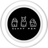 Zoom IMG-1 bunny mom holland lop rabbit