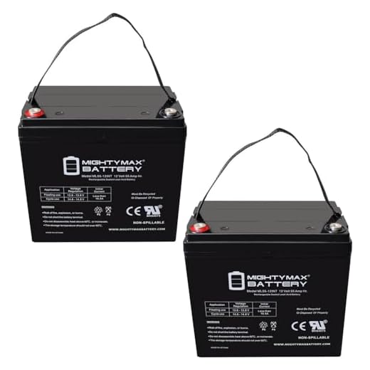Mighty Max Battery 12V 55AH INT Replacement Battery for Megavolt Flooded BCI 51R - 2 Pack