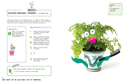 Grow Your Own Pet Plants: A Cute Guide to Choosing and Caring for Your Leafy Friends - Image 3
