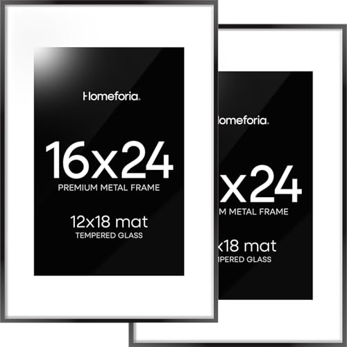 Homeforia 16x24 Picture Frame Set in Black