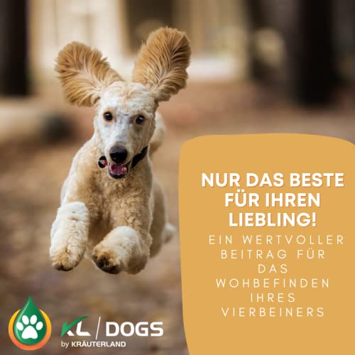 Kräuterland MSM Pulver für Hunde - 250g organischer Schwefel für Gelenke, Muskeln & Fell - Nahrungsergänzung in Premium Qualität