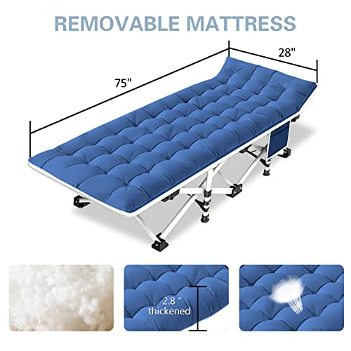 Best RV Cots Buying Guide Gistgear