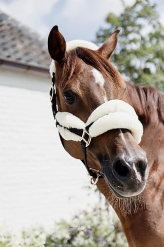 Cabezada halter de lana natural y nylon reforzado para caballo cob 3