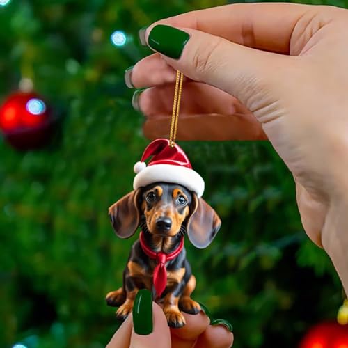 T TAKONE 14 Stück Dackel Dekoration, 2D Acryl Flachdackel Anhänger, perfekt als Christbaumschmuck und Weihnachtsdekoration für das Auto
