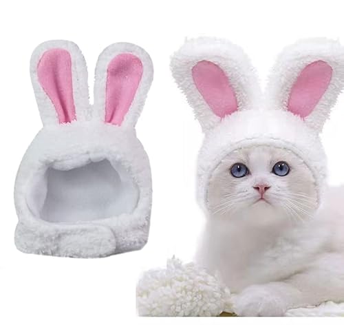 Orelhas de coelho de gato, orelhas de coelho de pelúcia, chapéu de coelho fofo para gato, chapéu de