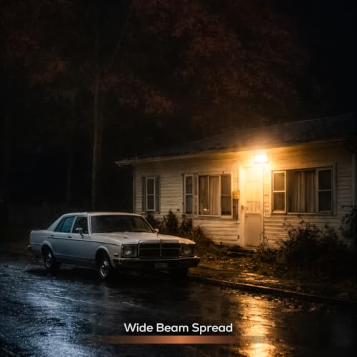 Image of Nortek Eshaa 100W LED Flood Light, 3 Color in 1 (Warm White /Natural White /Cool White) with Switch | Waterproof IP66 Outdoor Security Light | Wide Beam Angle | BIS Approved | 2 Year Warranty