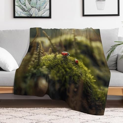 Couverture ultra douce coccinelle idée cadeau cocooning original - 2