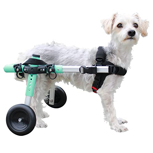 7 Best Dog Wheelchair for Rehabilitation [Updated 2023]