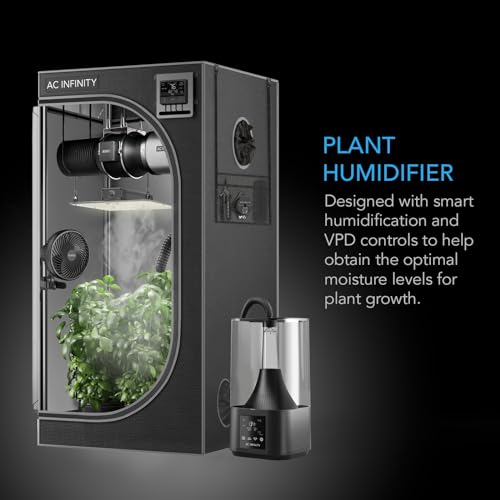 Consejos y reviews para comprar Tienda de plantas que puedes comprar esta semana. 2 Imagen adicional