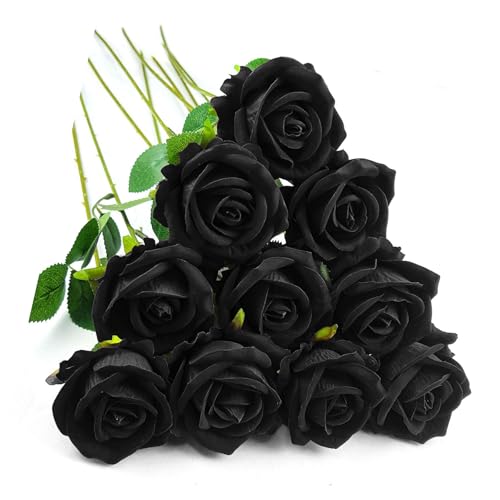  o [Y KN 10{Zbg ԑ o^Cf[ u[P ̓ a Ԍa7cm 51cm ubN