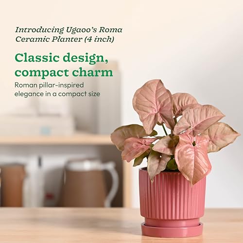 Image of UGAOO Roma Ceramic Flower Pot for Indoor Plants, 4 Inch - Magenta