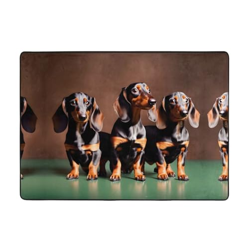 Tapis en flanelle teckel Weiner isolant et doux pour réchauffer une pièce froide - 2
