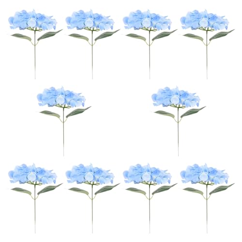 BATHVEVE V~[VAWTCԑ 10 ԐF򂹂Ȃ  CeAp z[ƃItBX