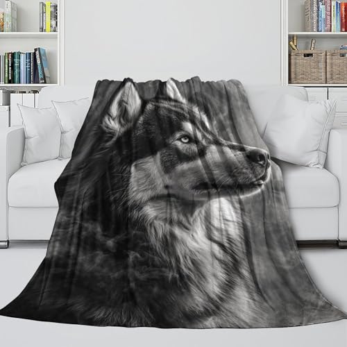 Couverture husky sibérien pour des soirées cocooning sur le canapé - 5