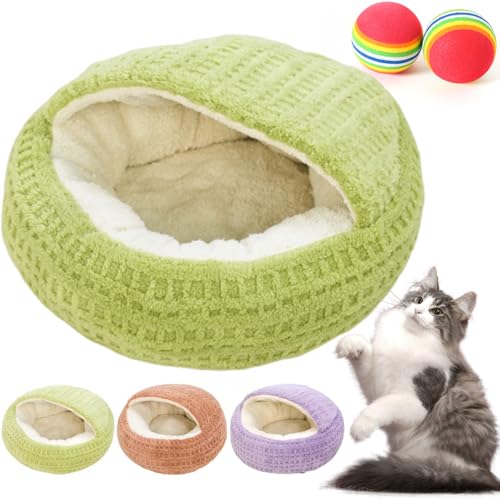 Lxbh ^ ybgnEX ~p h[^ Q LbgnEX Q NbV g  ӂӂ v ۉ h ~΍ 􂦂 ~ 薰 xe p Lp {[2t (L,O[)