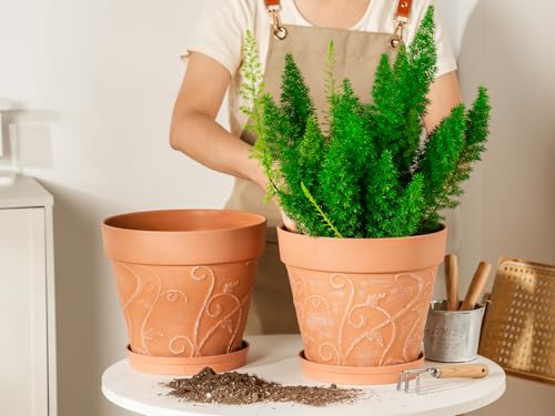 Melphoe Plant Pots Indoor with Drainage & Saucer, 2Pack 10 inch Flower Pots Outdoor Planters for Indoor Plants Garden Home Decor Cactus Succulent, Rigid Plastic (Imitation-Terracotta) Vine-Embossed by Melphoe - Image 5