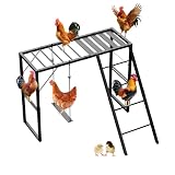 SEEKNEW Metal Chicken Perch with Swing Set and Ladder, Rustproof Roosting Bars for Chickens in Coop or Run, Outdoor Chicken Playground & Jungle Gym Accessories to Keep Flock Happy and Active, Black