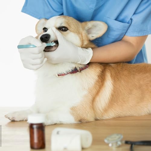Image of 8pcs Dog Toothbrush-3 Styles Soft Bristle Small Cat Toothbrush,Cats & Small Breed Dogs, Portable Travel Friendly and Easy to Use,Reduce Plaque Tartar Formation & Bad Breath