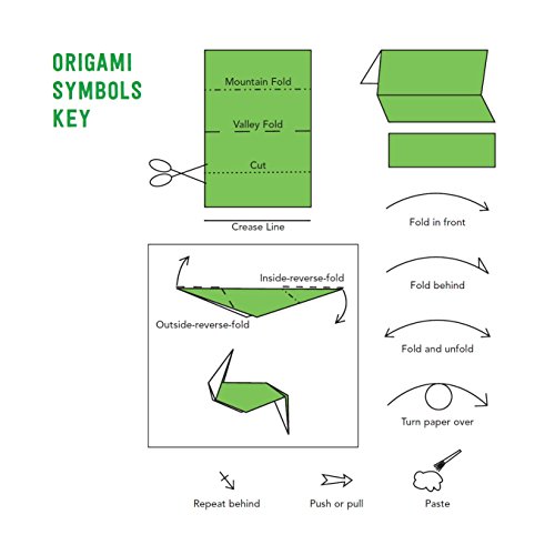 Origami Bugs Kit: Origami Fun for Everyone!: Kit with 2 Origami Books, 20 Fun Projects and 98 Origami Papers: Great for Both Kids and Adults 6 41+AvNLEnuL