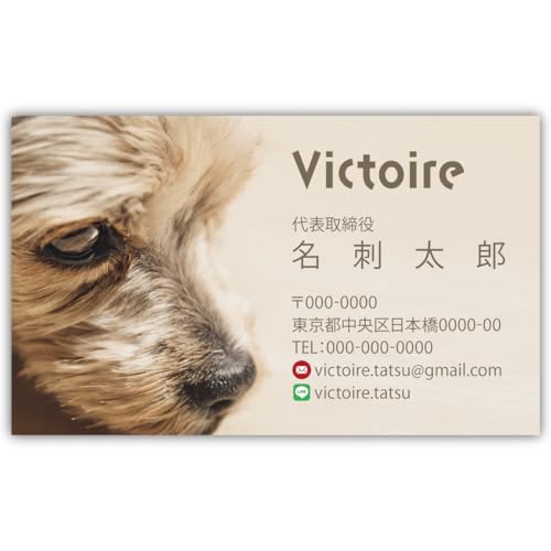 ���h�쐬 ���h��� �i�� 100�� �Ж� �t���J���[ �P�[�X�t No.1869