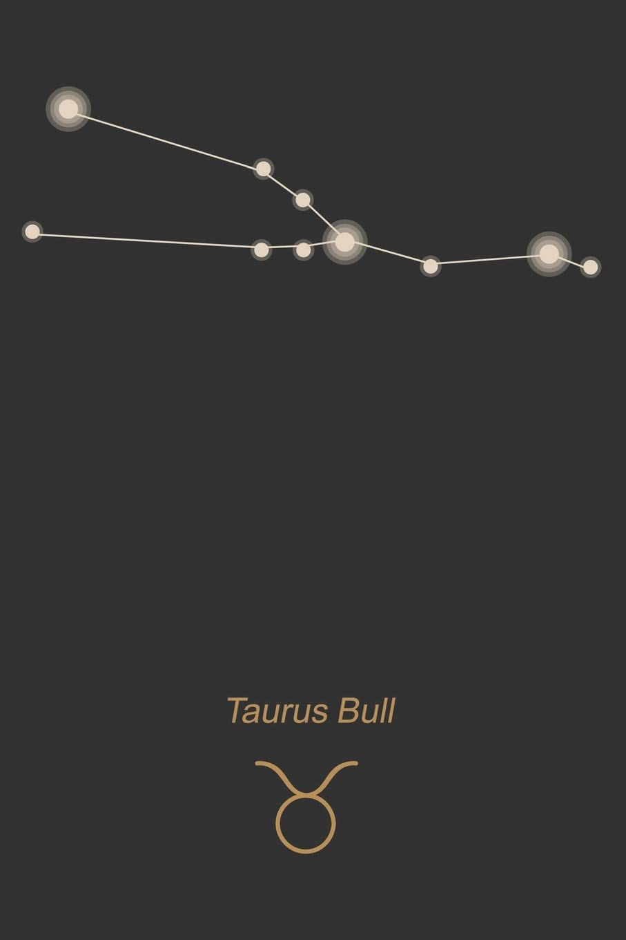 Taurus Bull: Taurus Bull notebook journals 6x9 120 page