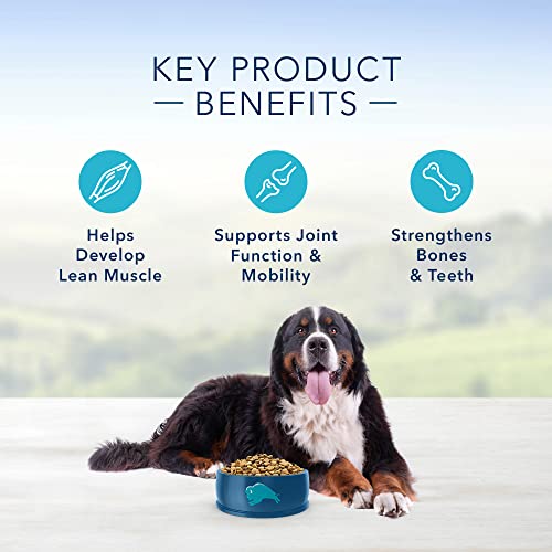 Blue Buffalo Life Protection Formula Natural Adult Large Breed Dry Dog Food, Chicken and Brown Rice 30-lb - Image 6
