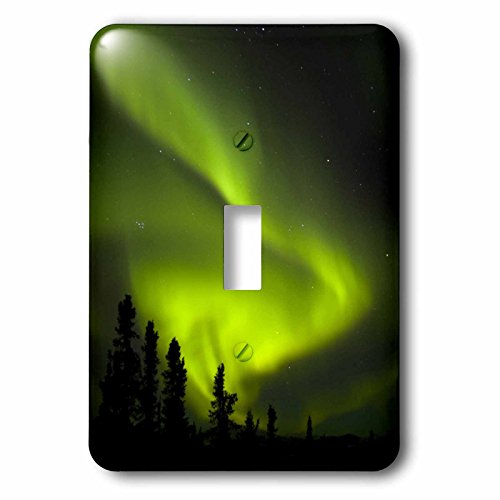 Interrupteur à bascule Alaska Aurora Borealis Sherry Zurey 3drose LSP 87749 1 pour déco unique