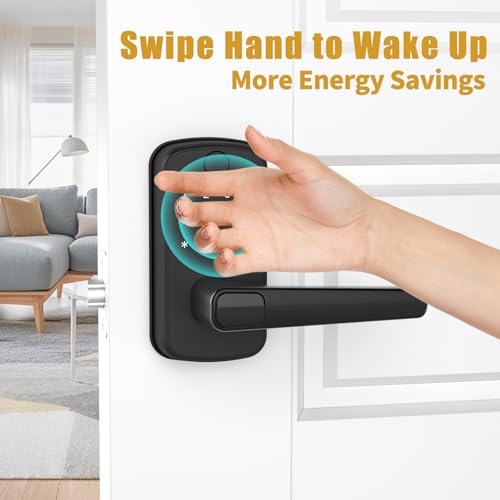 Black Smart Lock+WiFi Gateway