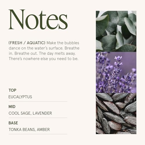 LA JOLIE MUSE Large Wood Wicked Candle, Eucalyptus & Sage, 19.4oz 90hrs