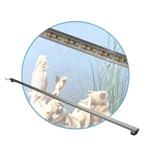 Aquarium-Plüderhausen Terrarium LED Leuchtbalken 30cm Set1