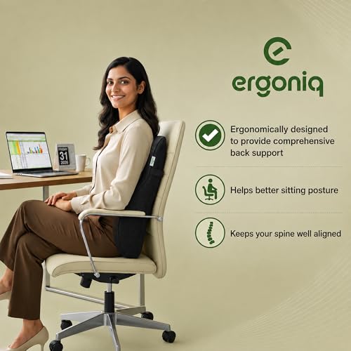Image of Memory Foam Lumbar Back Support Cushion for Office Chair & Car Seat | Ergonomic Lower Back Pillow for Posture Support & Sitting Comfort | Breathable Cover | 1 Year Warranty (Black)