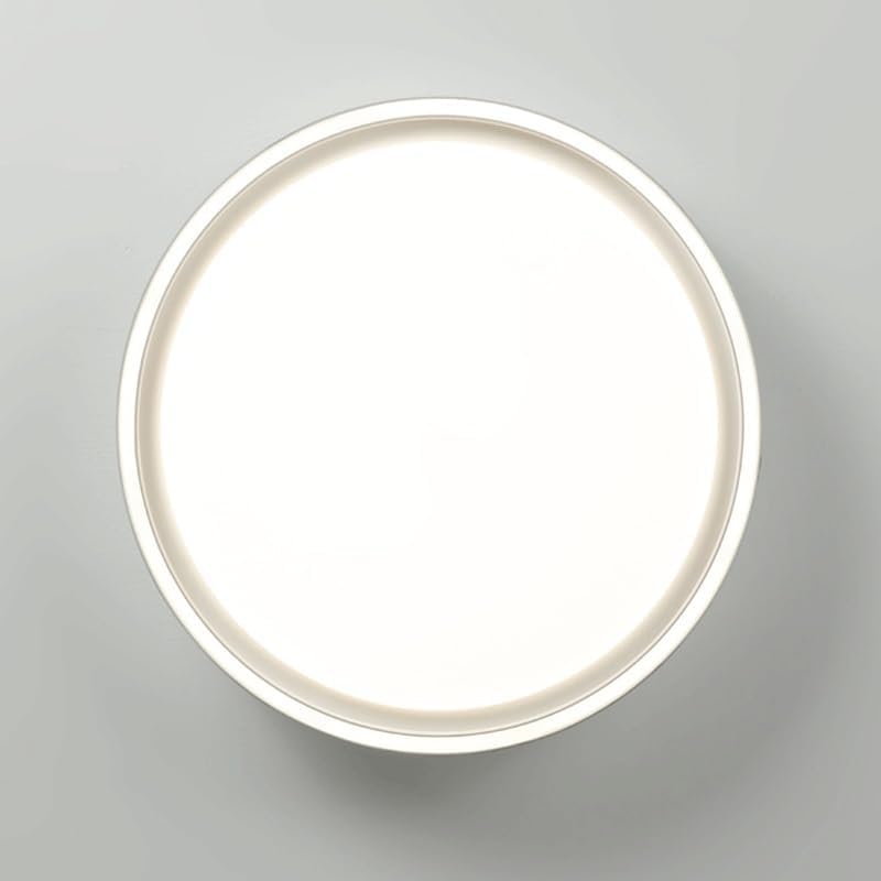 Acrylic White Ceiling Light Simple Style Restaurant Lamps LED Three Color Dimmable for Living Room Bedroom Bar Study Cafe Lighting image 3