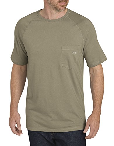 T-Shirt de Refroidissement Dickies Temp-IQ Homme Grand et Fort T-Shirt Respirant SS600 3XLT