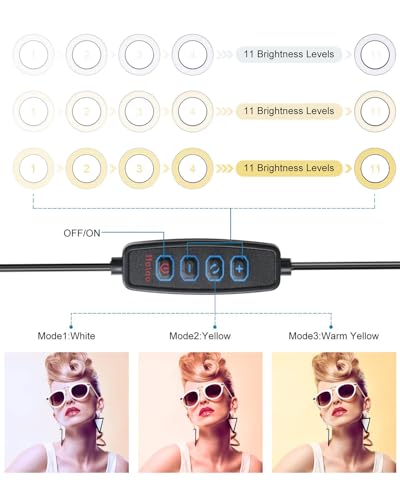 Image of Video Conference Lighting Kit, Ring Light Clip on Laptop Monitor, 6 inch Dimmable LED Circle Selfie Light for Zoom Meeting /Remote Working /Zoom Calls /Live Streaming /Video Recording