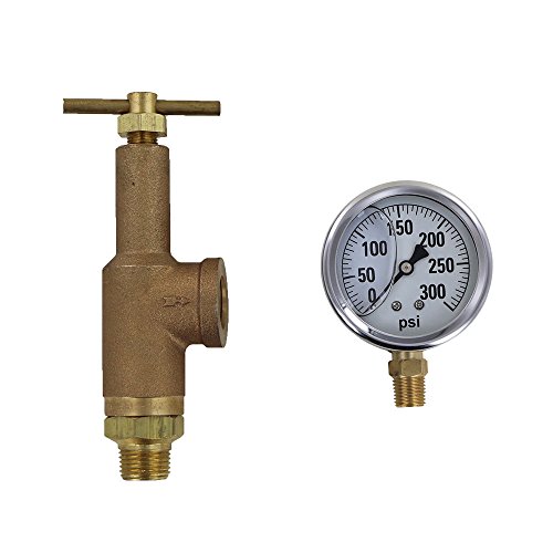 TeeJet 6815-3/4-HSS-300 Brass Pressure Regulator with 300 PSI Pressure Gauge (Bundle, 2 Items)