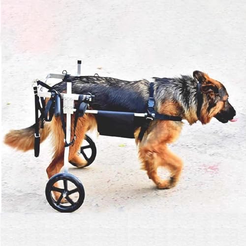 Silla de ruedas ajustable para perros medianos y grandes con dos ruedas estables