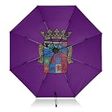 Paraguas plegable con la bandera de la Provincia de Palencia, compacto, resistente al viento, negro, UV, para sol UPF 50, paraguas plegable automático para sol y lluvia