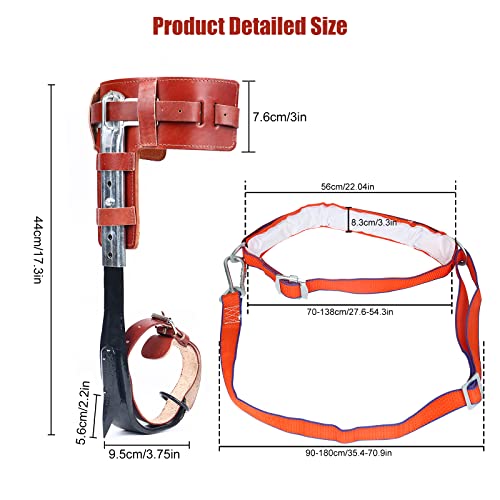 Twsoul Climbing Spikes With Multi-Functional Belt, Stainless Steel Climbing Trees Gear With Cattle Hide Leggings Straps And Extra Straps For Outdoor Jungle Survival Fruit Picking #TOP5